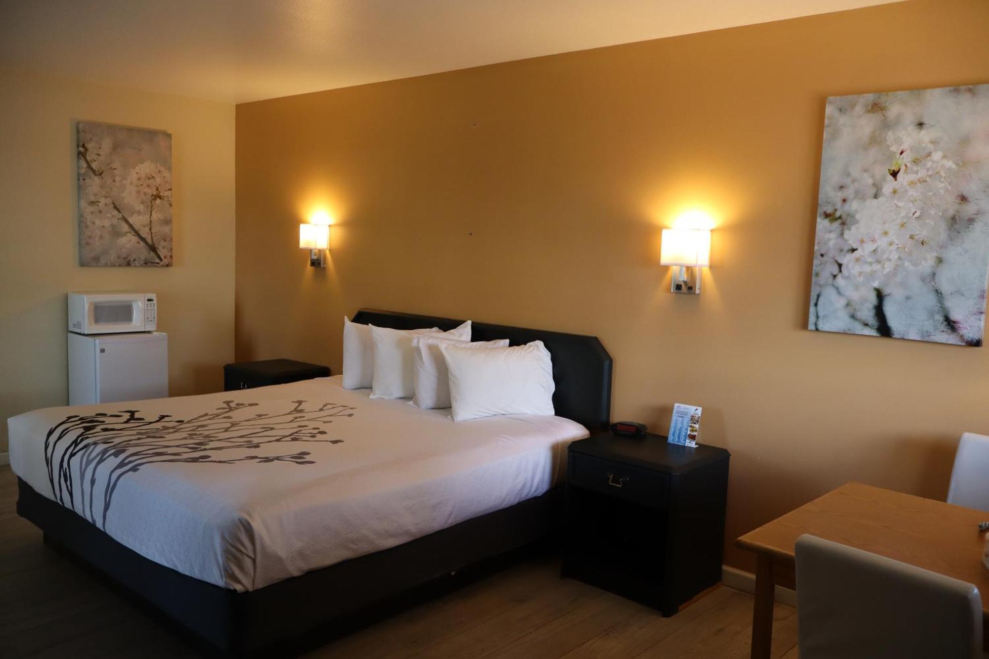 Black Canyon Motel Монтроуз Екстериор снимка