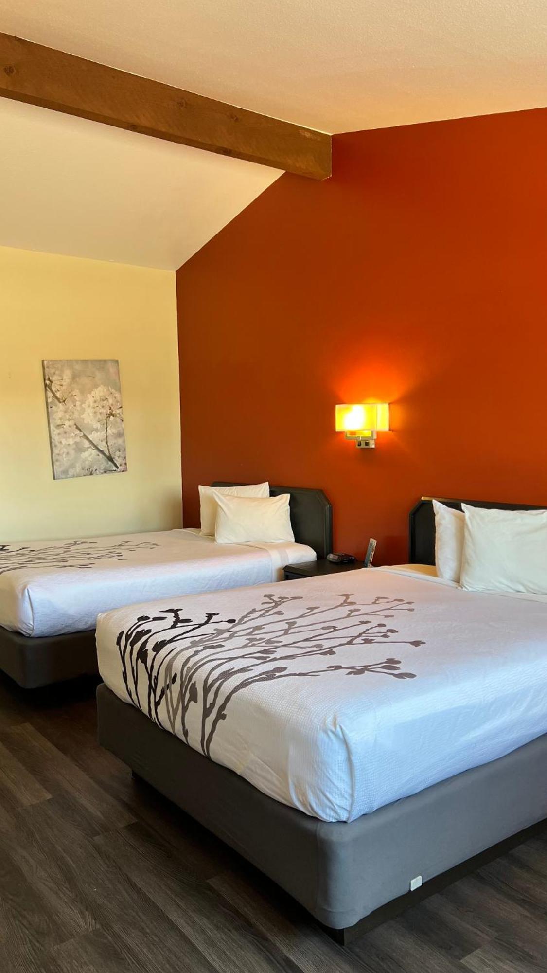 Black Canyon Motel Монтроуз Екстериор снимка